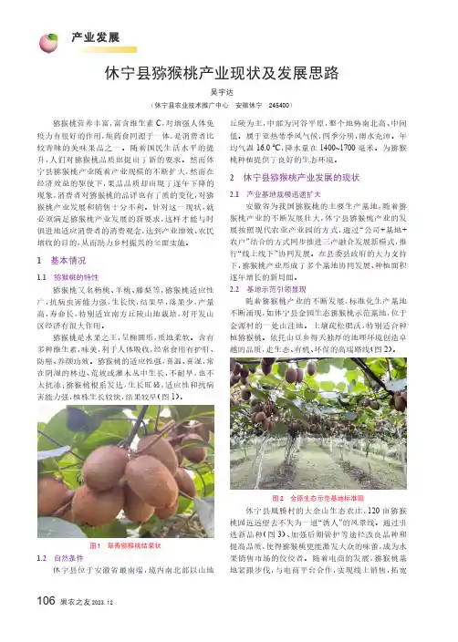 休宁县猕猴桃产业现状及发展思路