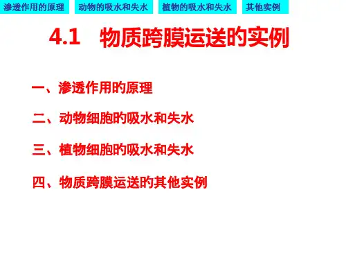 物质跨膜运输的实例优质课凤公开课获奖课件省赛课一等奖课件