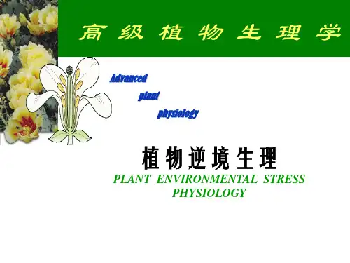 植物在逆境中的生理生长.ppt1