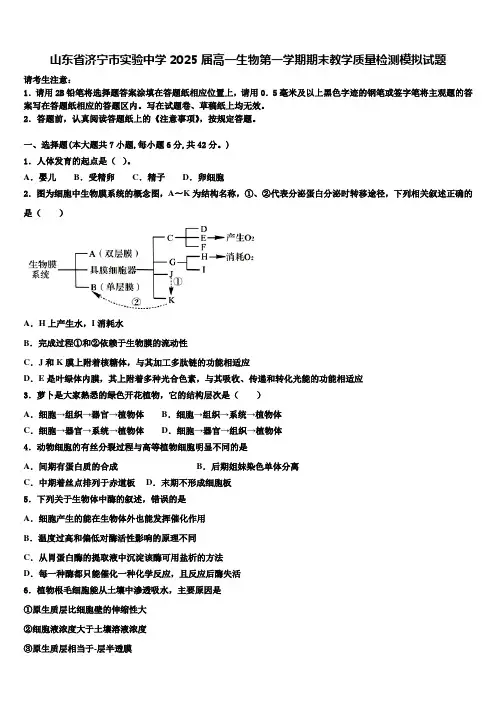 山东省济宁市实验中学2025届高一生物第一学期期末教学质量检测模拟试题含解析