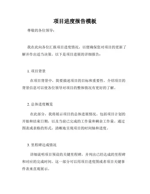 项目进度报告模板
