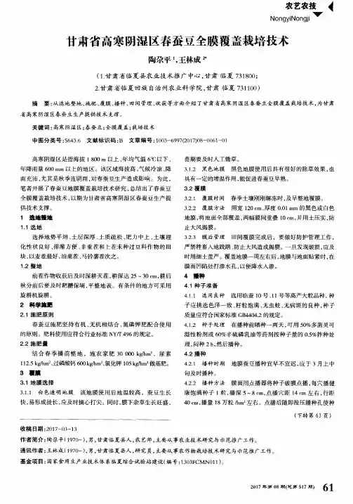 甘肃省高寒阴湿区春蚕豆全膜覆盖栽培技术