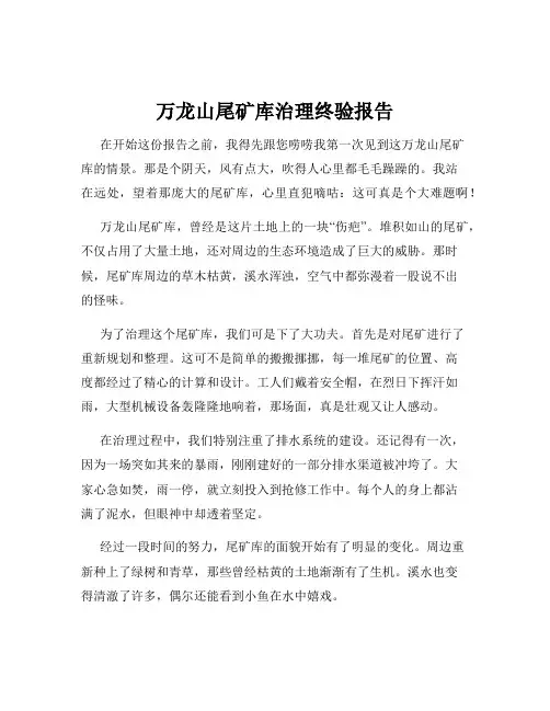 万龙山尾矿库治理终验报告