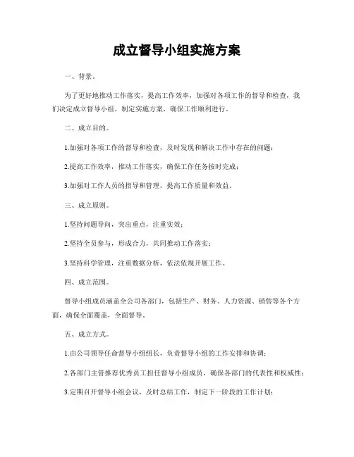 成立督导小组实施方案
