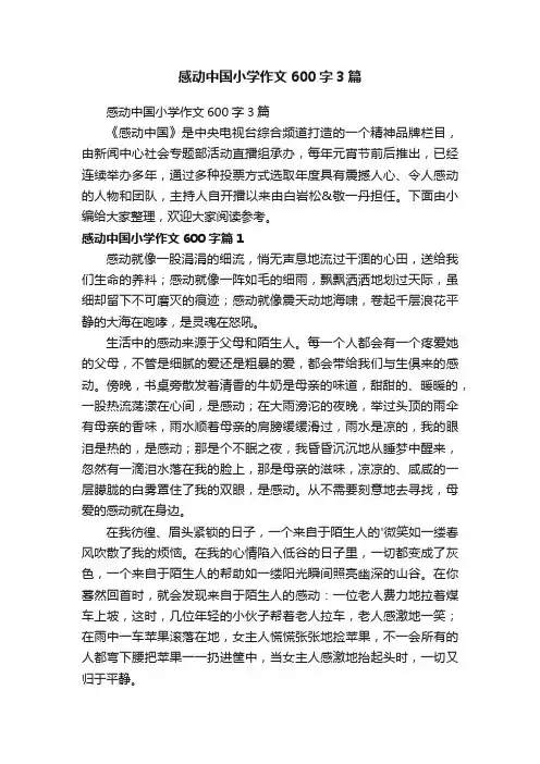 感动中国小学作文600字3篇