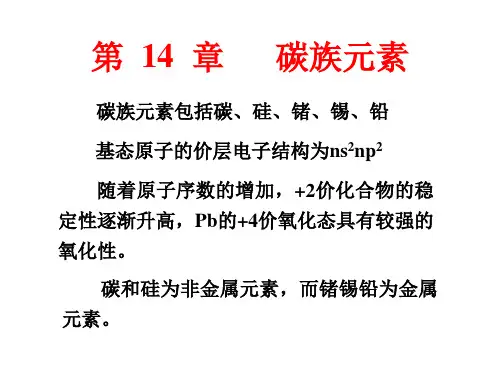 12碳族元素