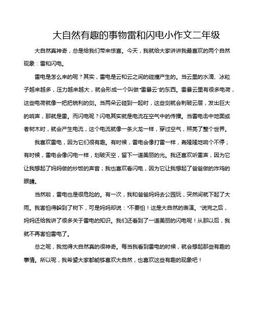 大自然有趣的事物雷和闪电小作文二年级
