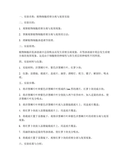 微型实验报告单