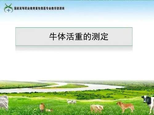 12牛体活重的测定(精)