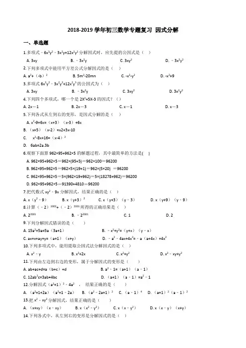 2018-2019学年初三数学中考专题复习 因式分解(含答案)