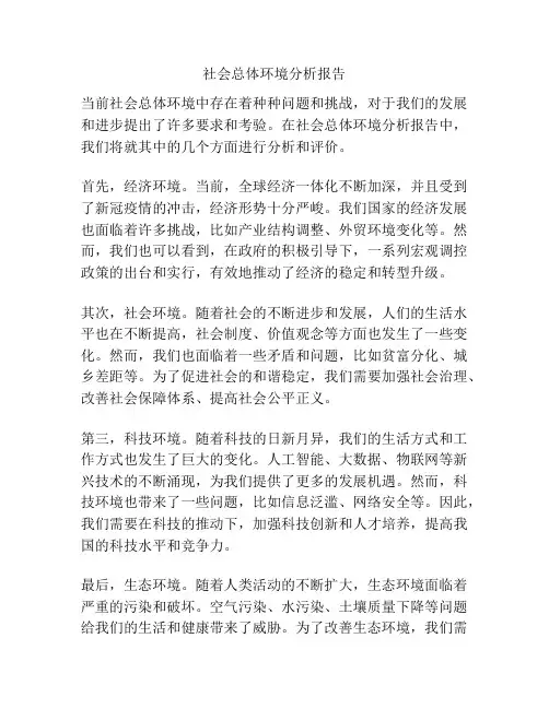 社会总体环境分析报告