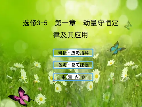 高三物理一轮复习课件 选修3-5 第一章《动量守恒定律及其应用》