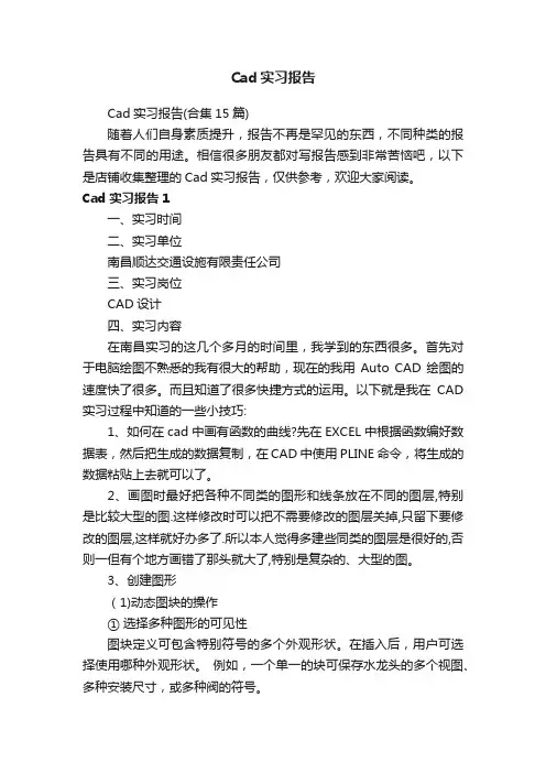 Cad实习报告