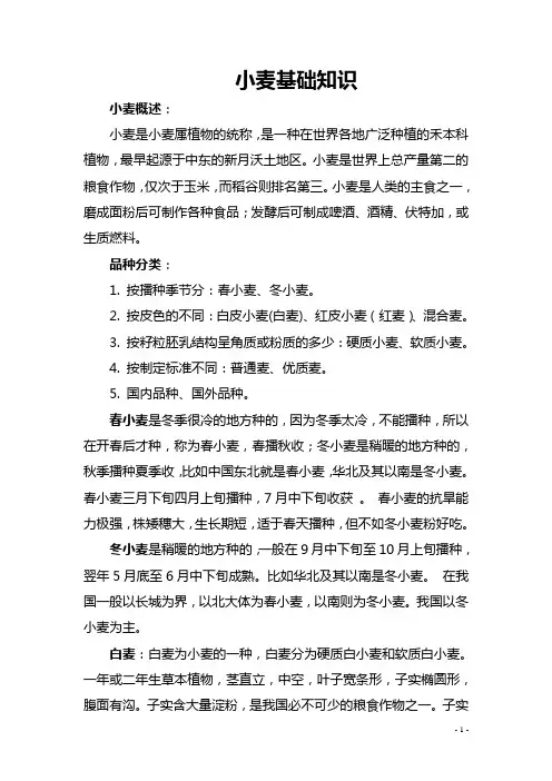 小麦基础知识课件