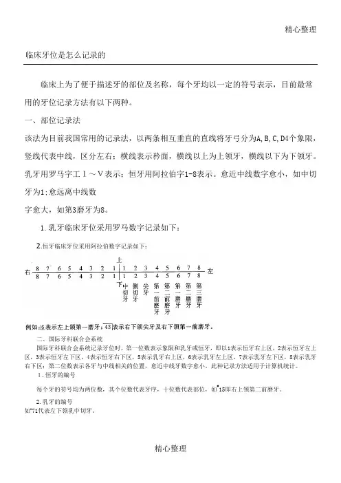 临床牙位是怎么记录的