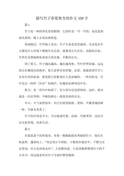 描写竹子春夏秋冬的作文450字