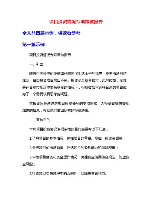 项目投资情况专项审核报告