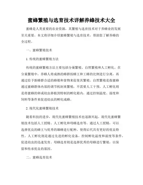 蜜蜂繁殖与选育技术详解养蜂技术大全