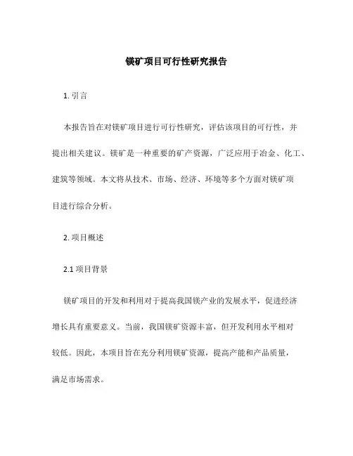 镁矿项目可行性研究报告