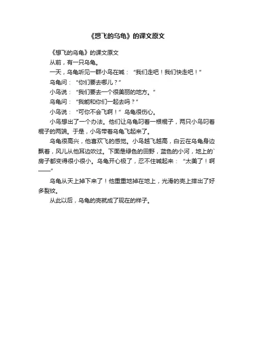 《想飞的乌龟》的课文原文