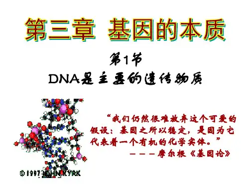 人教版高中生物必修二第三章第1节《DNA是主要遗传物质》(共31张PPT)