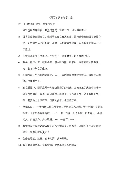 《野草》摘抄句子大全