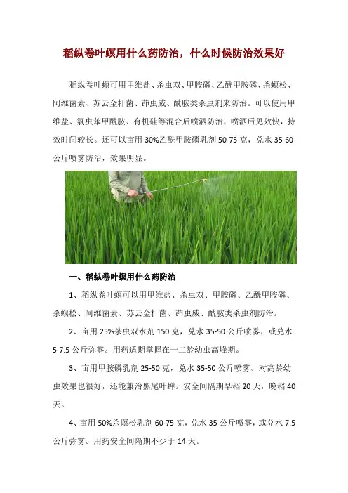 稻纵卷叶螟用什么药防治,什么时候防治效果好