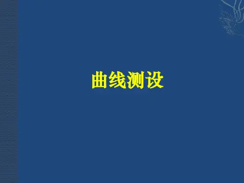 第六章(4) 曲线测设