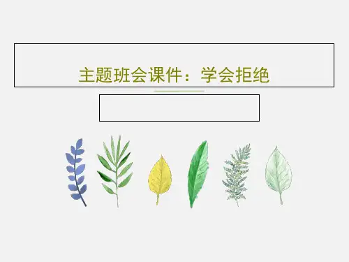 主题班会课件：学会拒绝28页文档