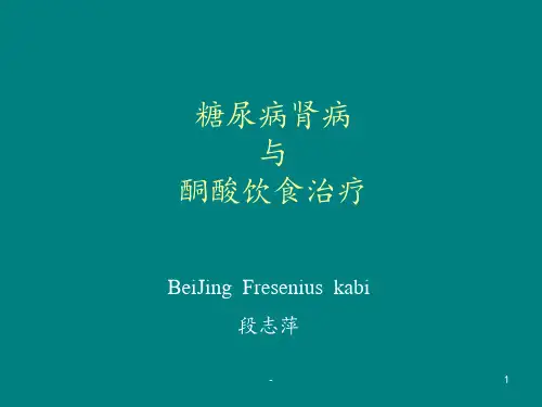 糖尿病肾病和酮酸饮食治疗ppt课件