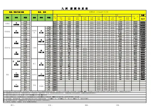  职等职级表 薪酬体系表  九洲受控