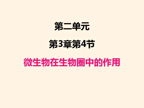 最新济南版七年级上册生物精品课件-2.3.4 微生物在生物圈中的作用
