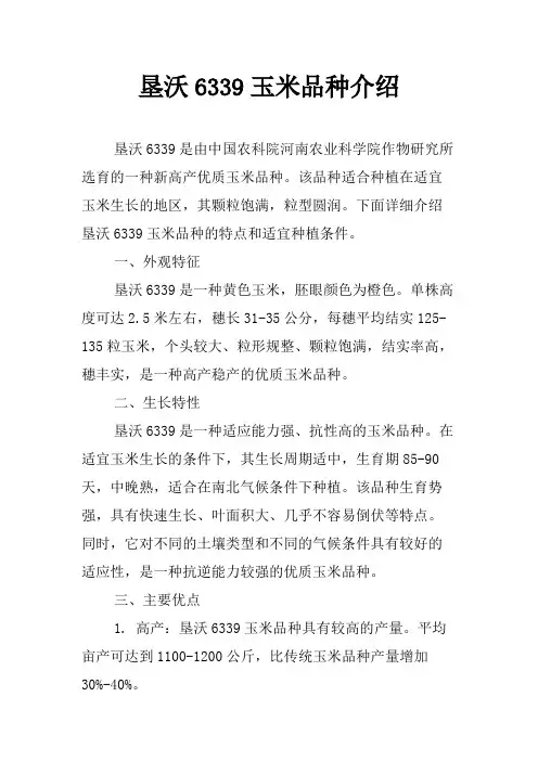 垦沃6339玉米品种介绍