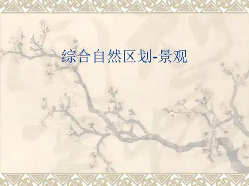 综合自然区划-景观解析