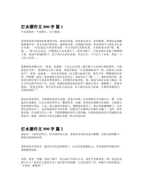 打水漂作文800字
