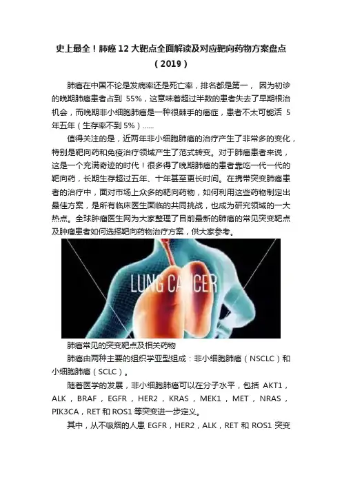 史上最全！肺癌12大靶点全面解读及对应靶向药物方案盘点（2019）