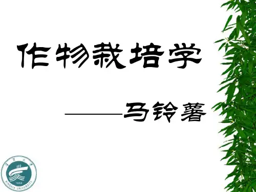 作物栽培学——马铃薯