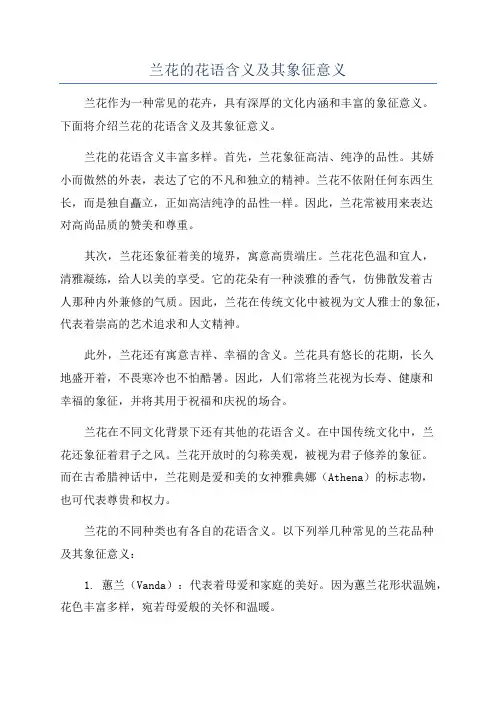 兰花的花语含义及其象征意义