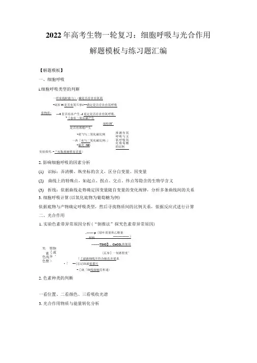 2022年高考生物一轮复习细胞呼吸与光合作用解题模板与练习题汇编含答案解析.docx