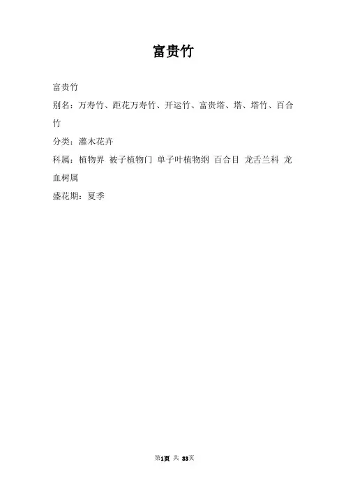 富贵竹