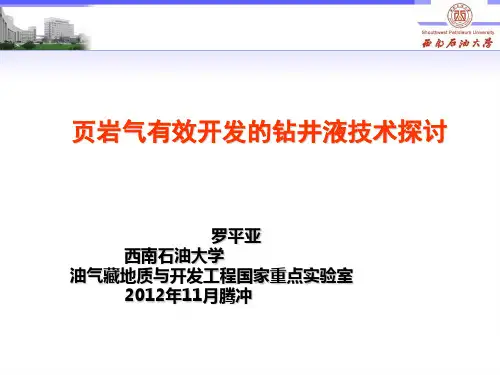 页岩气有效开发的钻井液技术探讨(罗平亚)