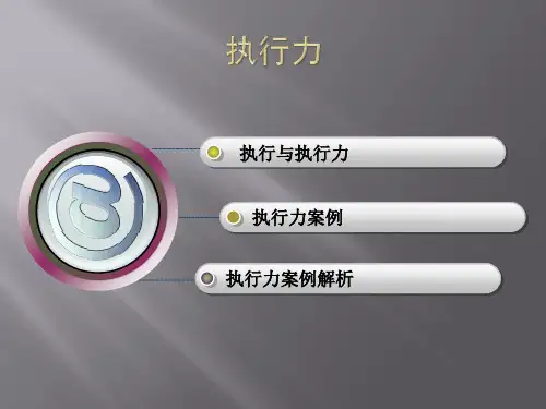 执行力的案例和解析