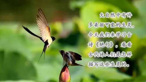 最新部编版小学三年级语文下册1、古诗三首之《绝句》迟日江山丽 课件