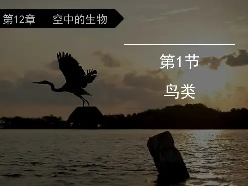苏科版初中生物七年级下册课件-5.12.1 鸟类14