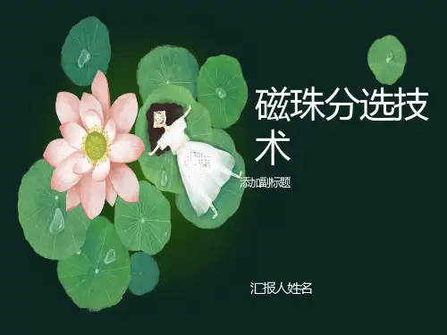 磁珠分离细胞技术