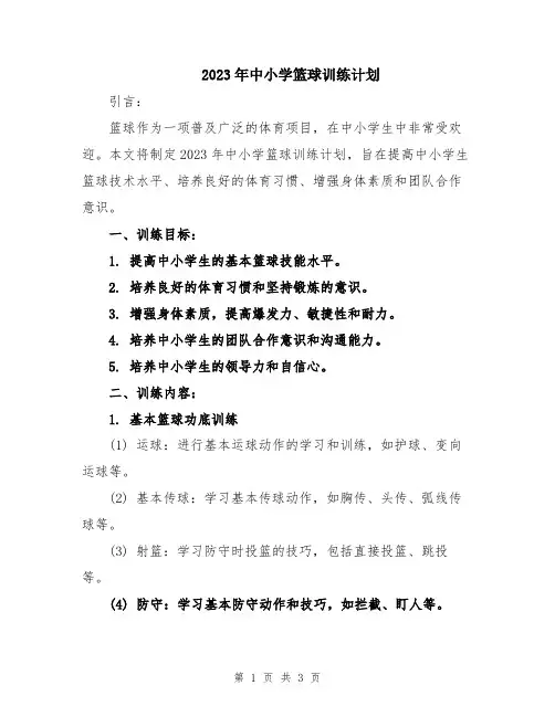 2023年中小学篮球训练计划