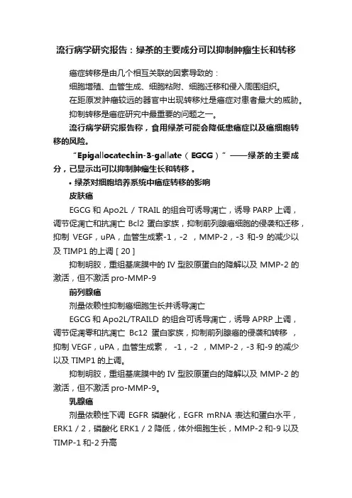 流行病学研究报告：绿茶的主要成分可以抑制肿瘤生长和转移