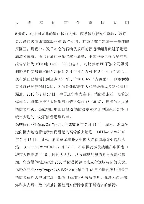 大连漏油事件震惊大图