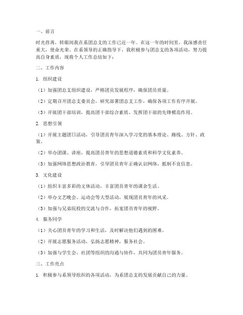 个人工作总结系团总支