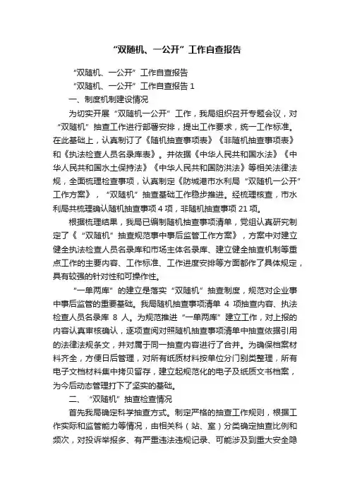 “双随机、一公开”工作自查报告